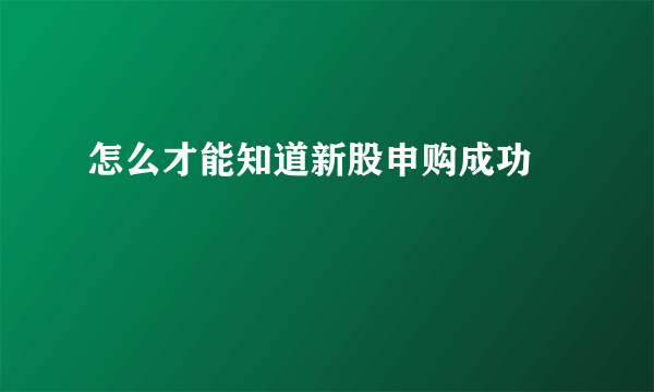 怎么才能知道新股申购成功 