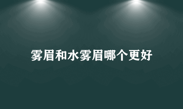 雾眉和水雾眉哪个更好