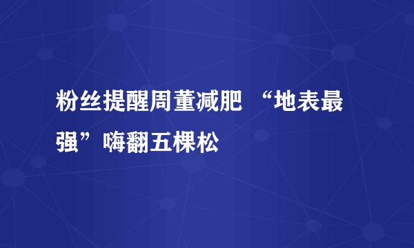 粉丝提醒周董减肥 “地表最强”嗨翻五棵松