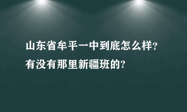 山东省牟平一中到底怎么样？有没有那里新疆班的?