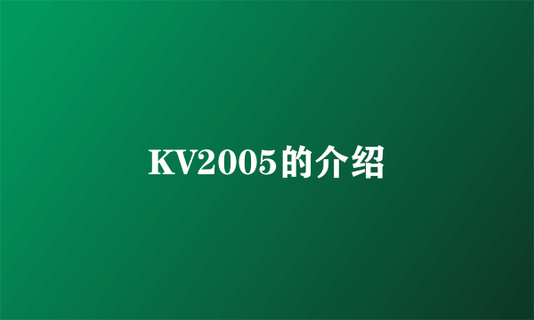 KV2005的介绍