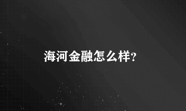 海河金融怎么样？