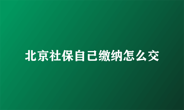 北京社保自己缴纳怎么交