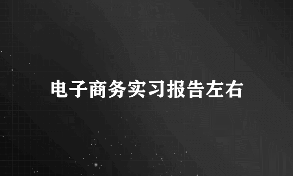 电子商务实习报告左右