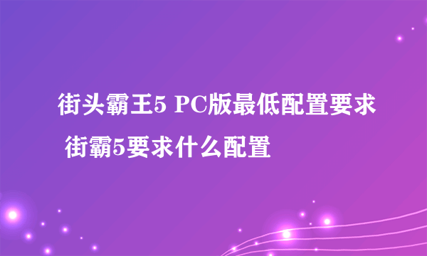 街头霸王5 PC版最低配置要求 街霸5要求什么配置