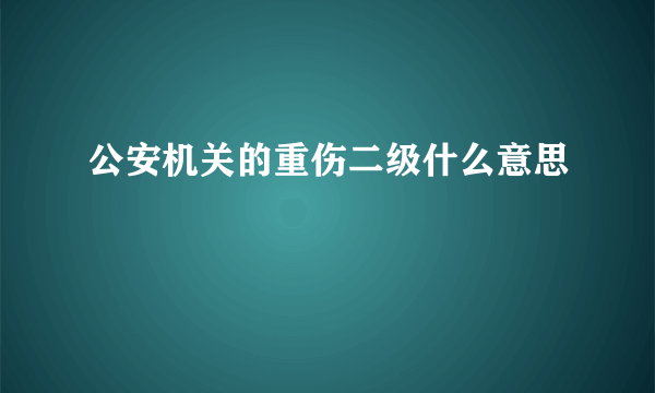 公安机关的重伤二级什么意思