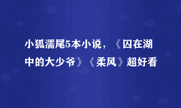 小狐濡尾5本小说，《囚在湖中的大少爷》《柔风》超好看