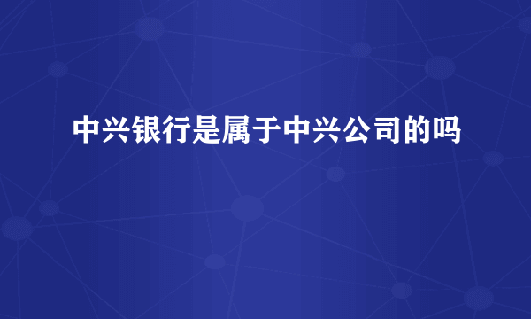 中兴银行是属于中兴公司的吗