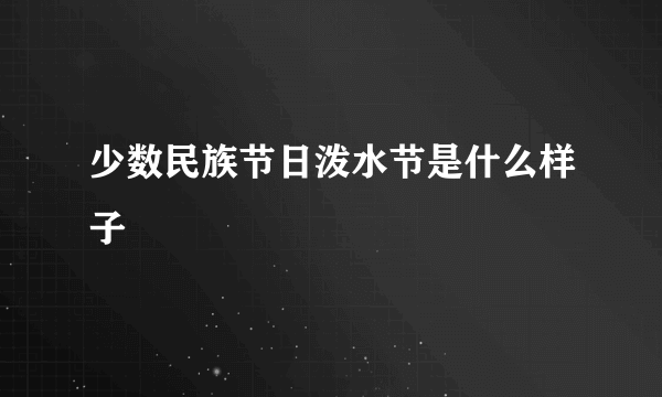 少数民族节日泼水节是什么样子