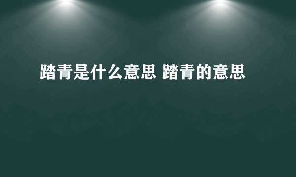 踏青是什么意思 踏青的意思