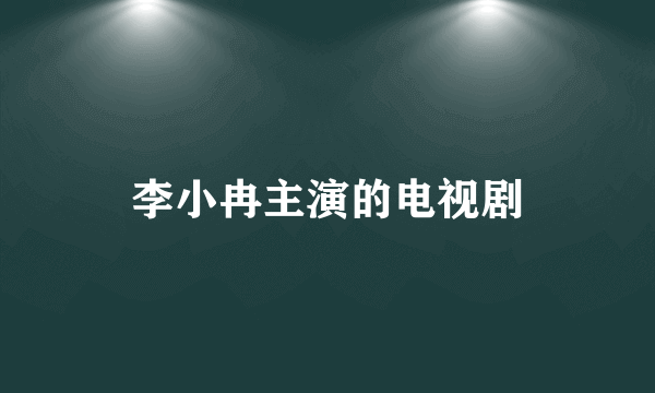 李小冉主演的电视剧