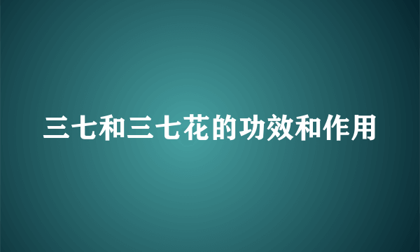 三七和三七花的功效和作用