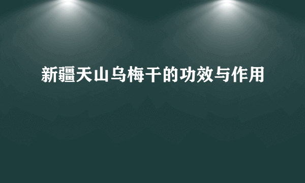 新疆天山乌梅干的功效与作用