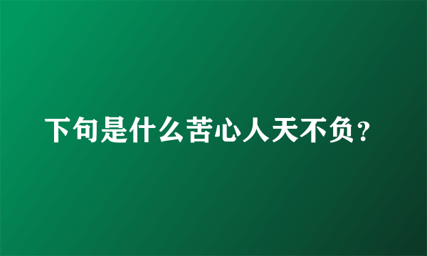 下句是什么苦心人天不负？