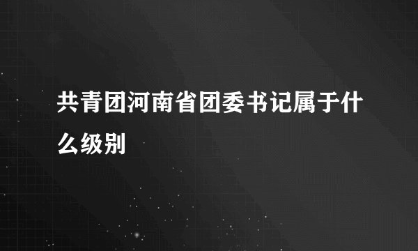 共青团河南省团委书记属于什么级别