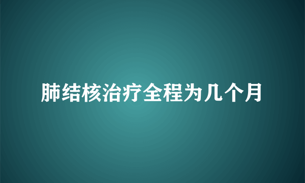 肺结核治疗全程为几个月