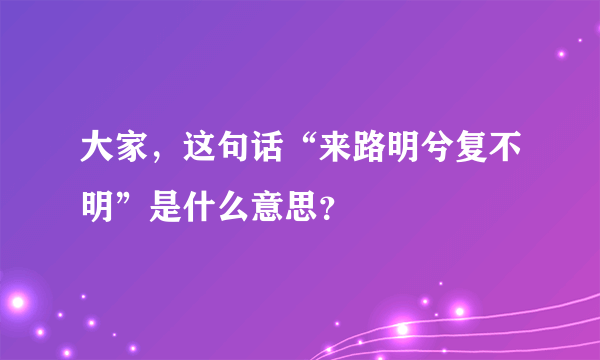 大家，这句话“来路明兮复不明”是什么意思？