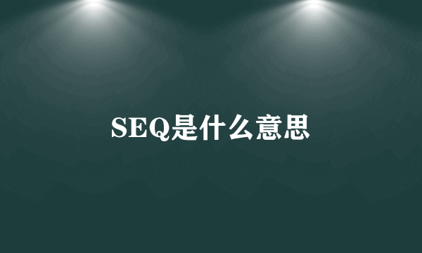 SEQ是什么意思