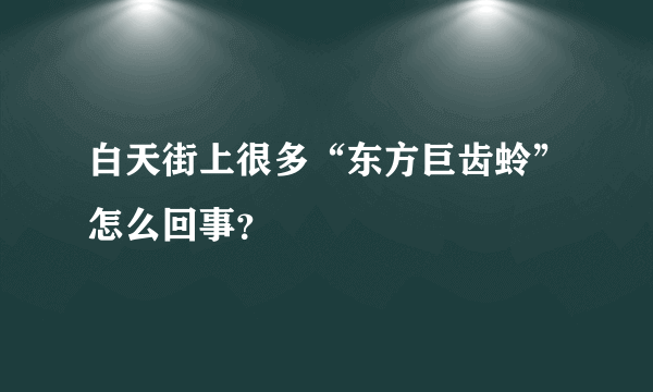 白天街上很多“东方巨齿蛉”怎么回事？