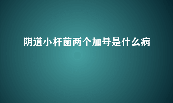 阴道小杆菌两个加号是什么病