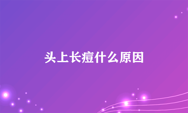 头上长痘什么原因