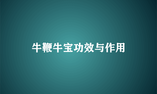 牛鞭牛宝功效与作用