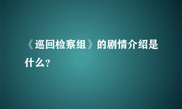 《巡回检察组》的剧情介绍是什么？