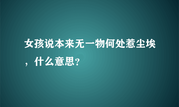 女孩说本来无一物何处惹尘埃，什么意思？