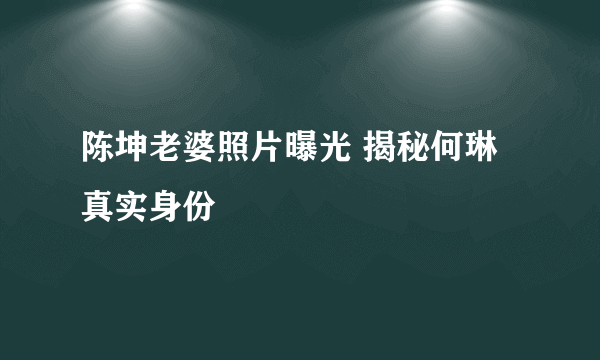 陈坤老婆照片曝光 揭秘何琳真实身份