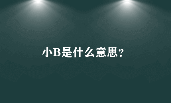 小B是什么意思？