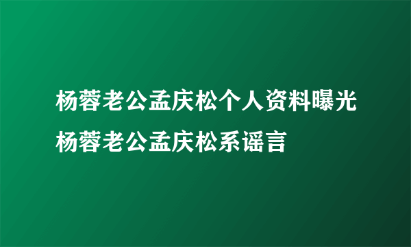 杨蓉老公孟庆松个人资料曝光杨蓉老公孟庆松系谣言