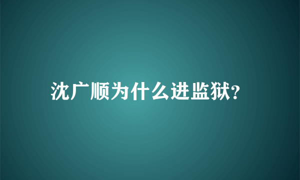 沈广顺为什么进监狱？