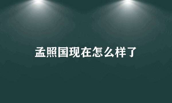 孟照国现在怎么样了