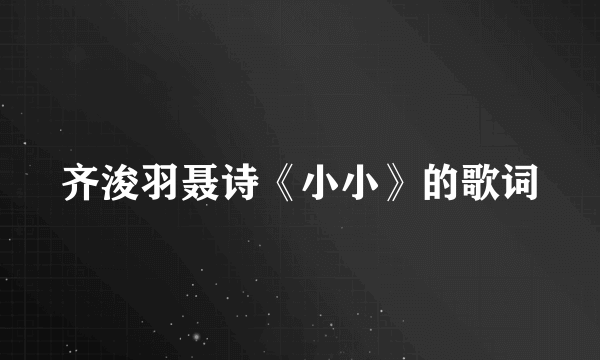 齐浚羽聂诗《小小》的歌词