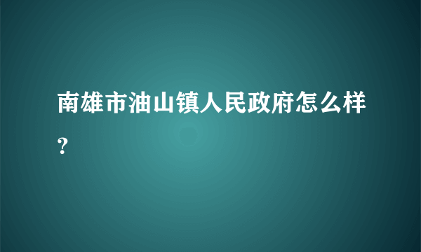 南雄市油山镇人民政府怎么样？