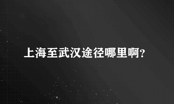 上海至武汉途径哪里啊？