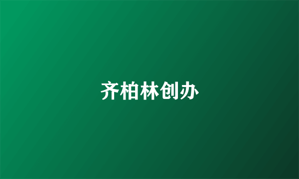 齐柏林创办