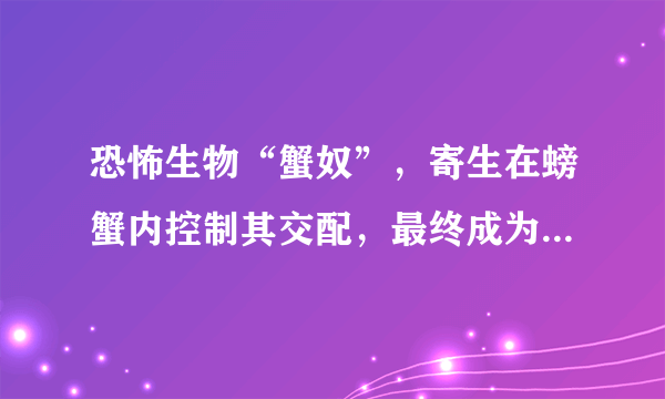 恐怖生物“蟹奴”，寄生在螃蟹内控制其交配，最终成为僵尸螃蟹！