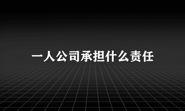 一人公司承担什么责任