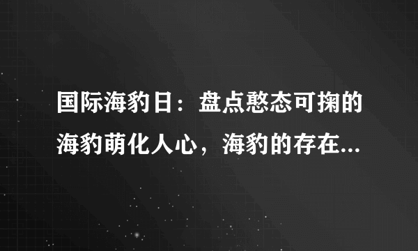 国际海豹日：盘点憨态可掬的海豹萌化人心，海豹的存在有多重要？