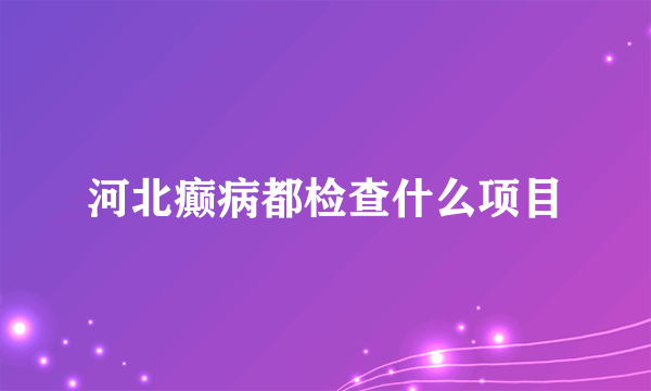 河北癫病都检查什么项目