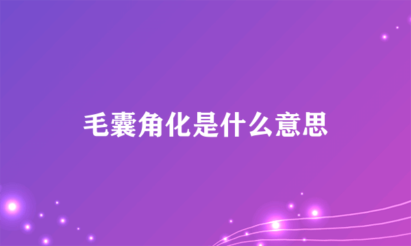 毛囊角化是什么意思