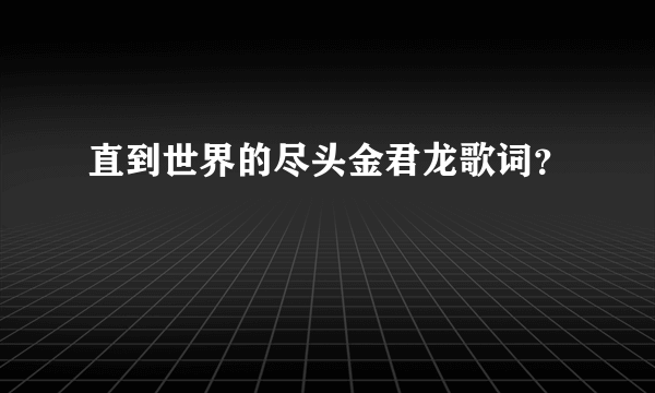 直到世界的尽头金君龙歌词？