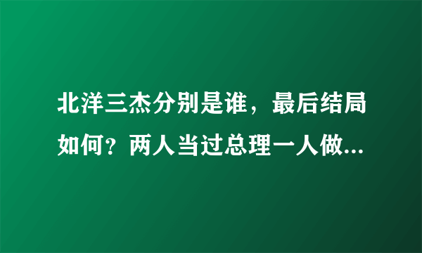 北洋三杰分别是谁，最后结局如何？两人当过总理一人做过代总统