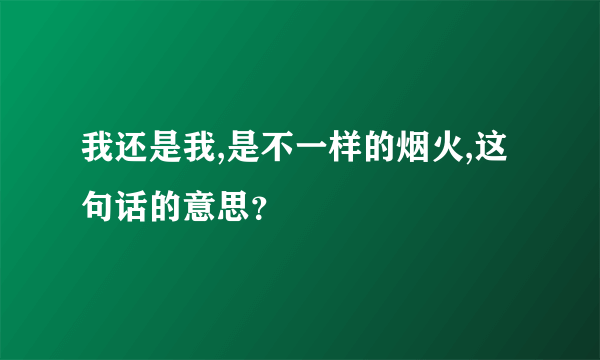 我还是我,是不一样的烟火,这句话的意思？