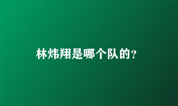 林炜翔是哪个队的？