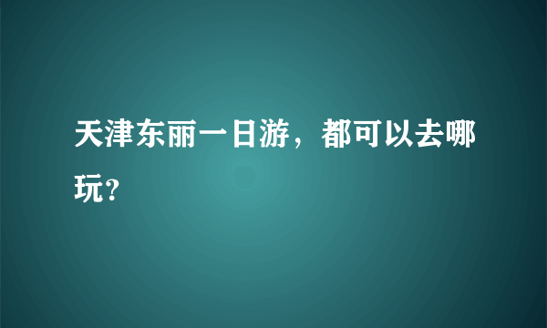 天津东丽一日游，都可以去哪玩？