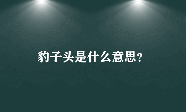 豹子头是什么意思？