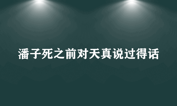 潘子死之前对天真说过得话