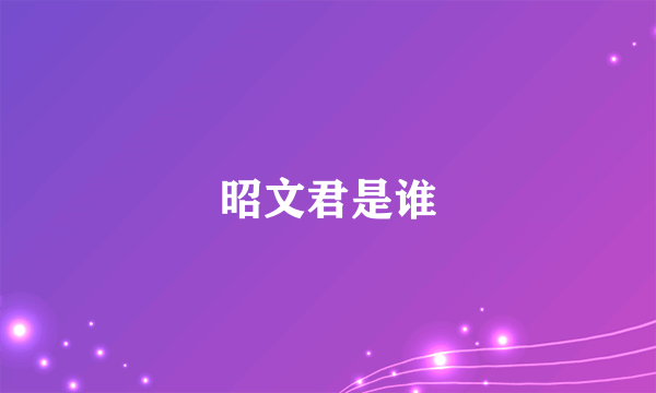 昭文君是谁